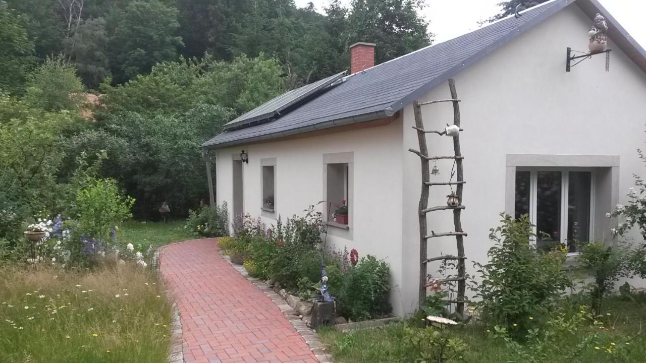 Pochebachhaeusl Villa Kurort Jonsdorf Exterior photo